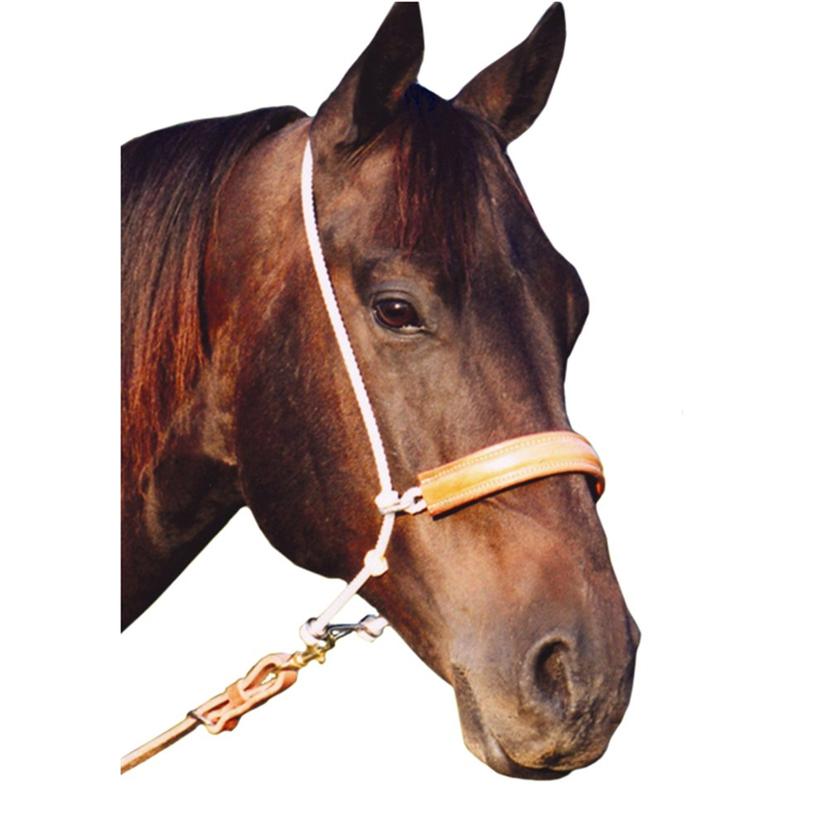 Martin Saddlery Martin Saddlery Double Rope Tiedown