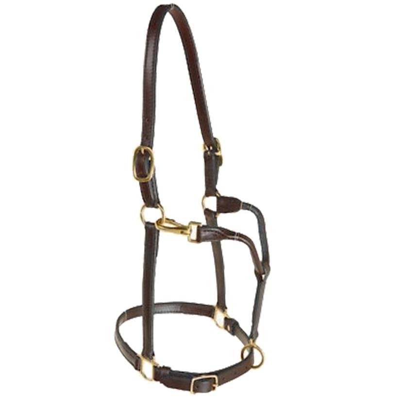 South Texas Tack Yearling Track Halter 3/4in