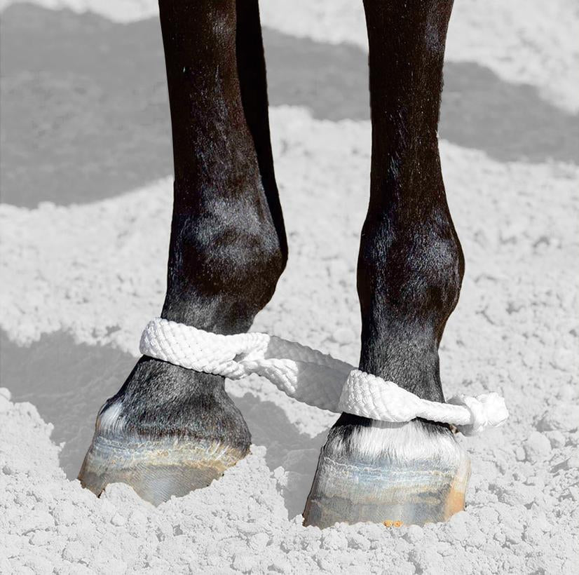 Mustang Figure Eight Braided Nylon Hobbles