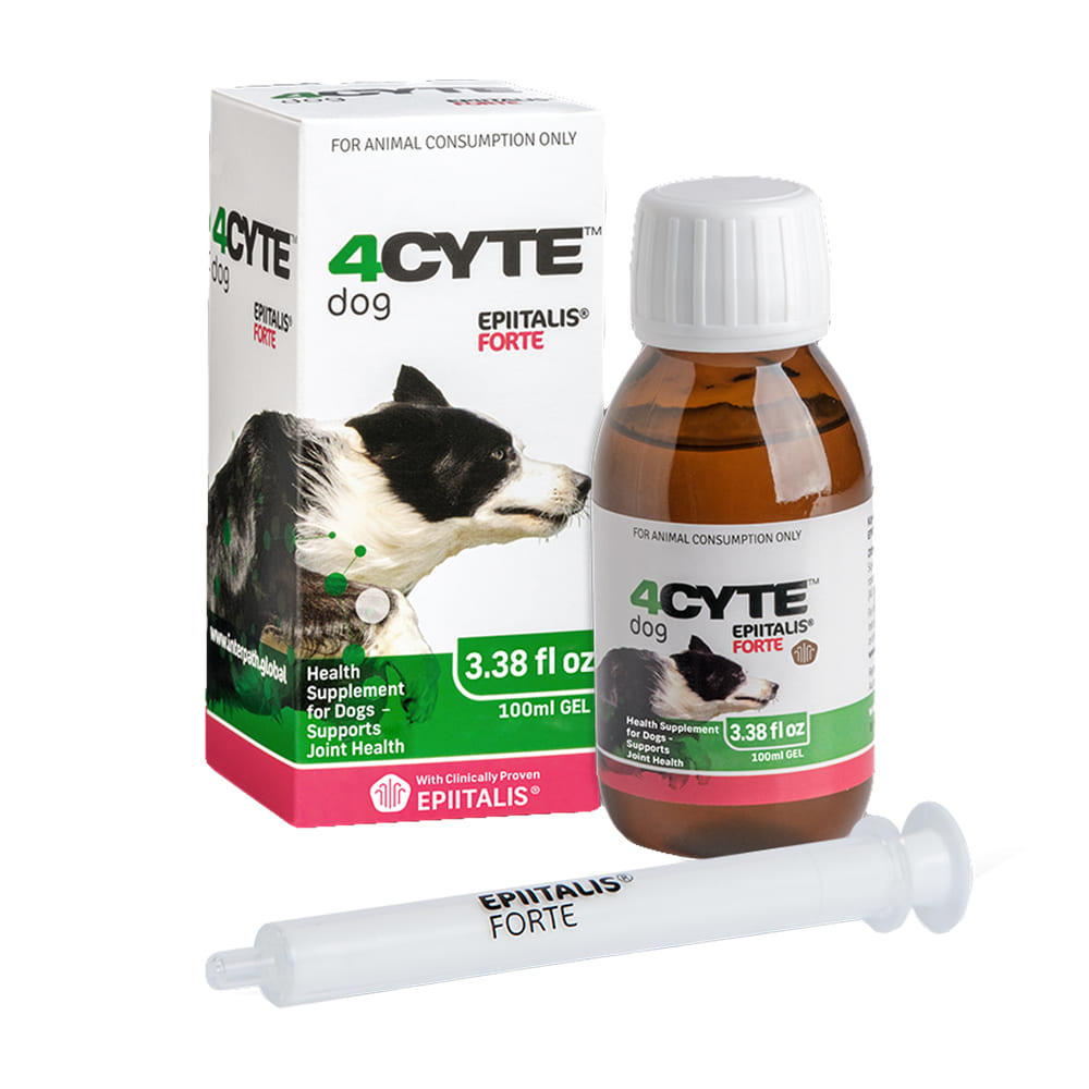 4Cyte Horse Supplies 4CYTE Epiitalis Forte Joint Health Supplement for Canines - 100ml gel