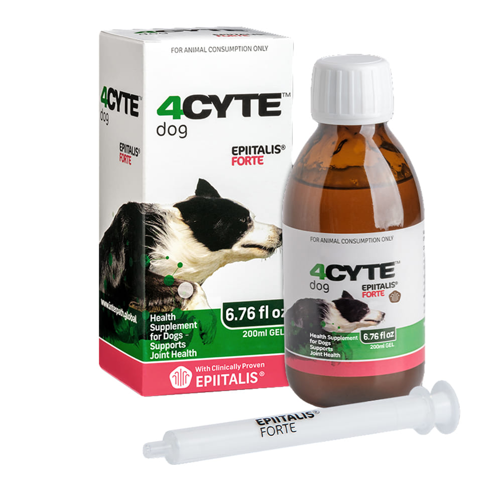 4Cyte Horse Supplies 4Cyte Epiitalis Forte Joint Health Supplement for Canines - 200ml gel