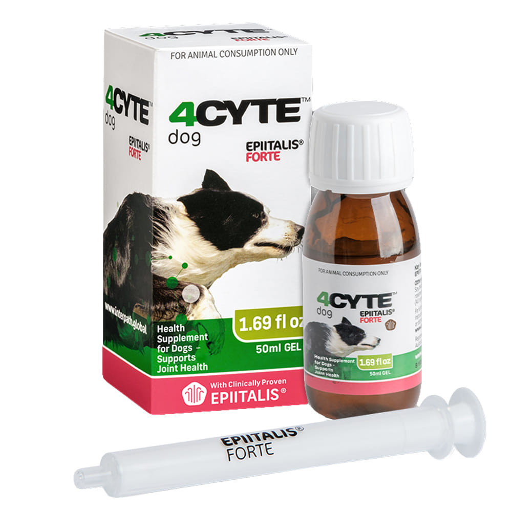 4Cyte Horse Supplies 4CYTE Epiitalis Forte Joint Health Supplement for Canines - 50ml gel