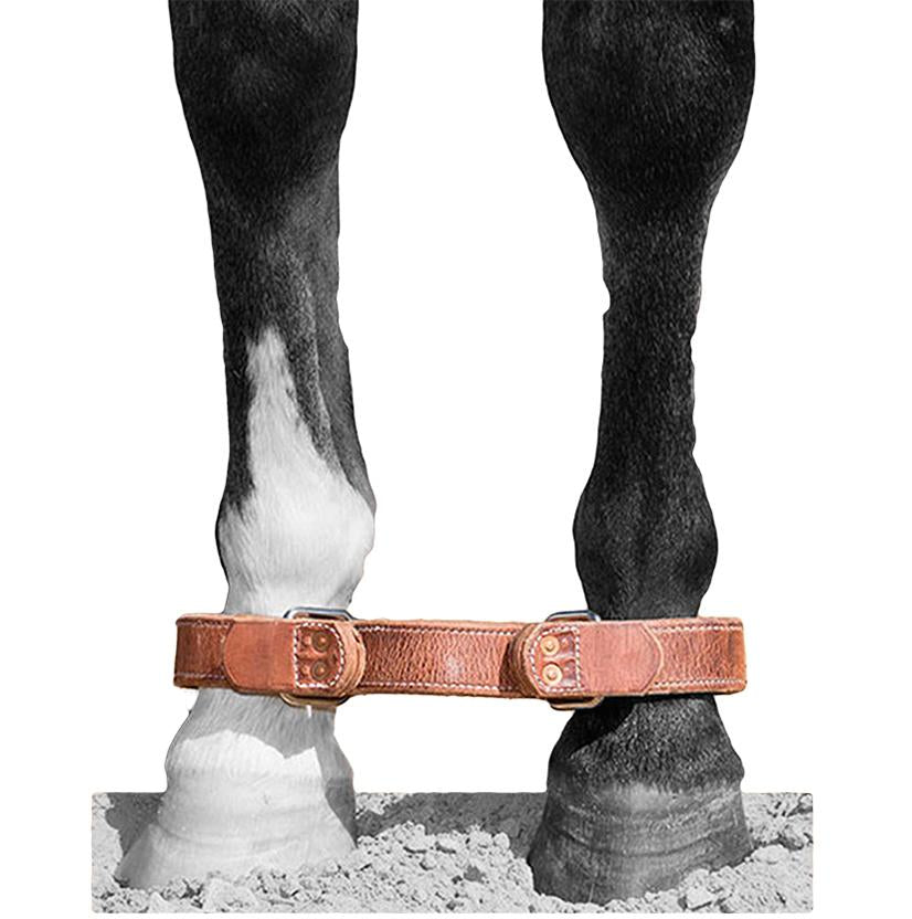 South Texas Tack Leather Horse Hobble with Stainless Quick Connect