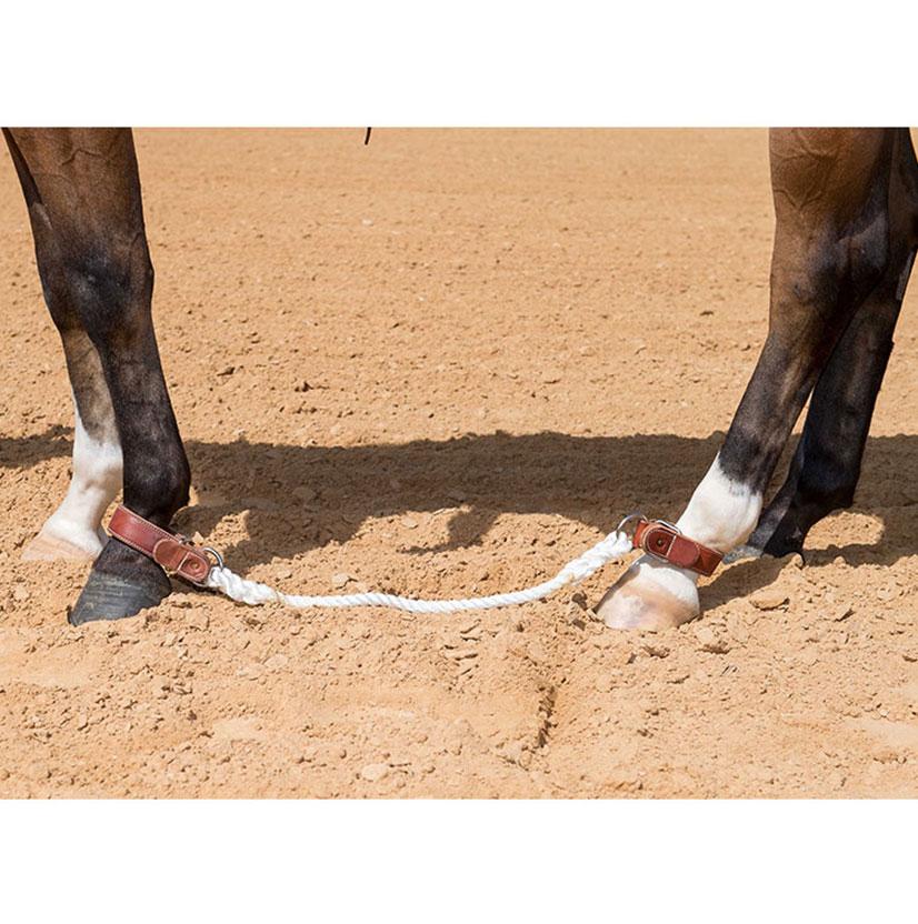 South Texas Tack Sideline Horse Hobble - 12.5" Yearling Cuff