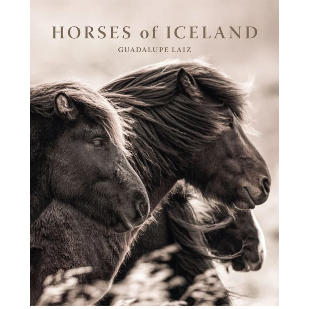 Acc Publishing Other Acc Publishing Horses of Iceland Book