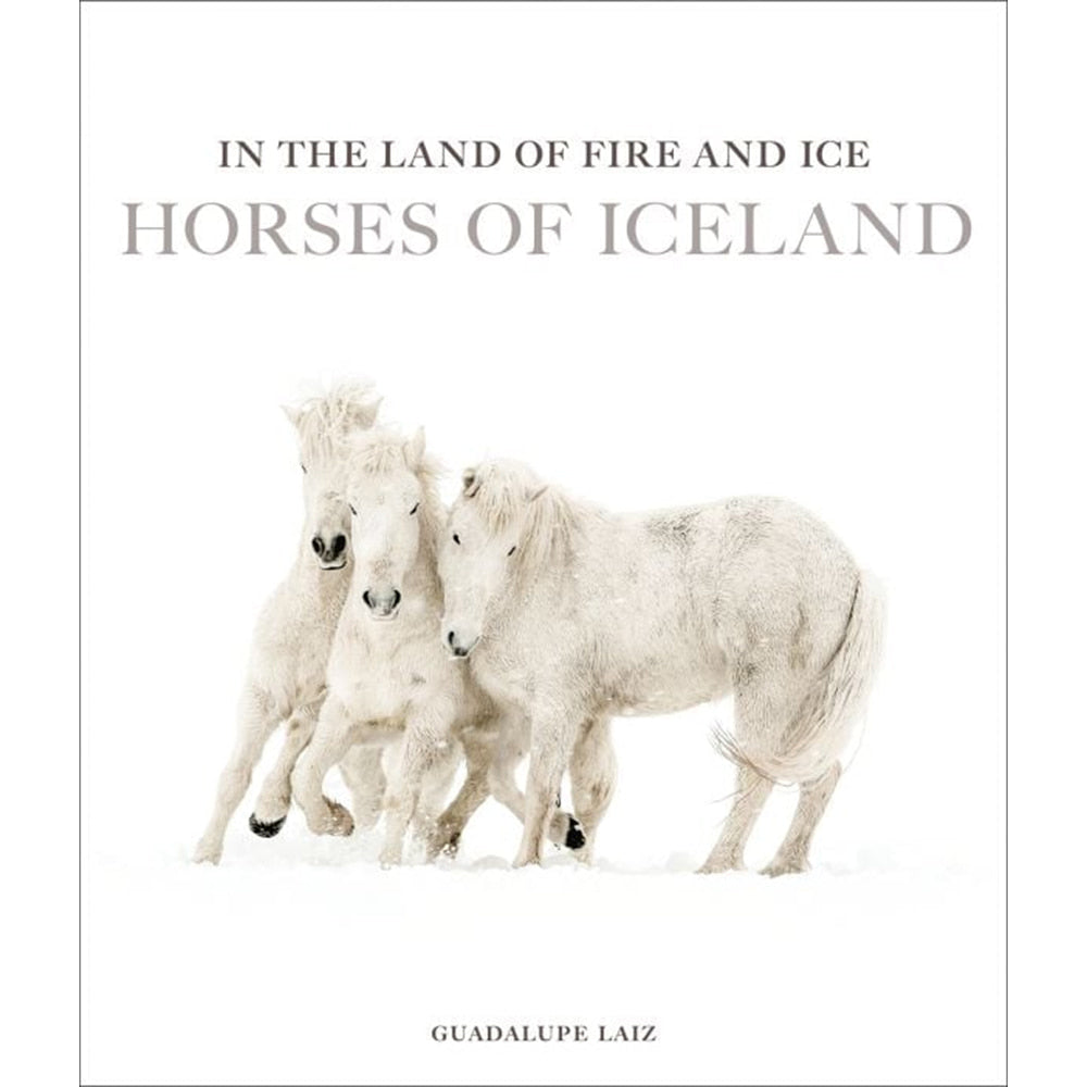 Acc Publishing Other Acc Publishing In the Land of Fire and Ice Book