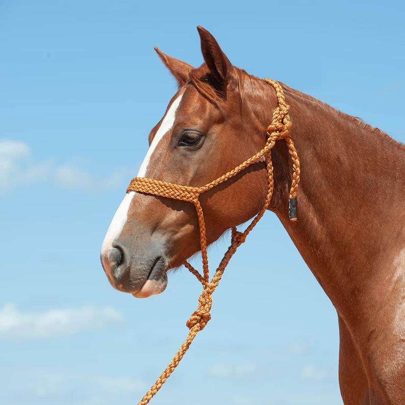 Cashel Tack Standard / Copper Cashel Flat Braid Halter With 8' Lead Rope