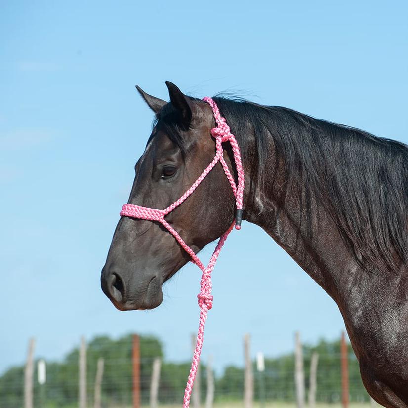 Cashel Tack Standard / Pink Cashel Flat Braid Halter With 8' Lead Rope