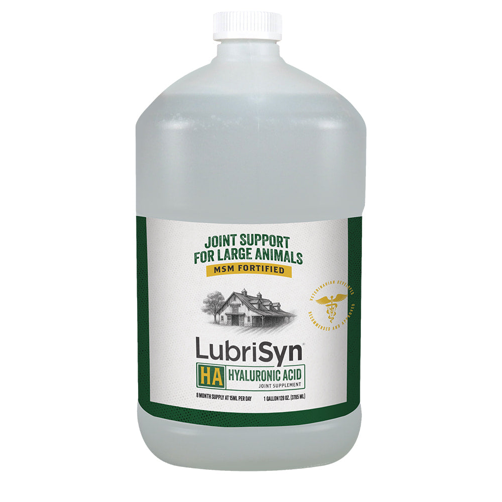 Halstrum Supplies Gallon LubriSyn HA Plus MSM Gallon