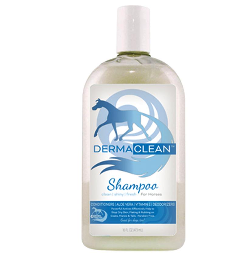 Healthy Hair Care Supplies 16oz Derma Clean Shampoo Healthy Hair Care