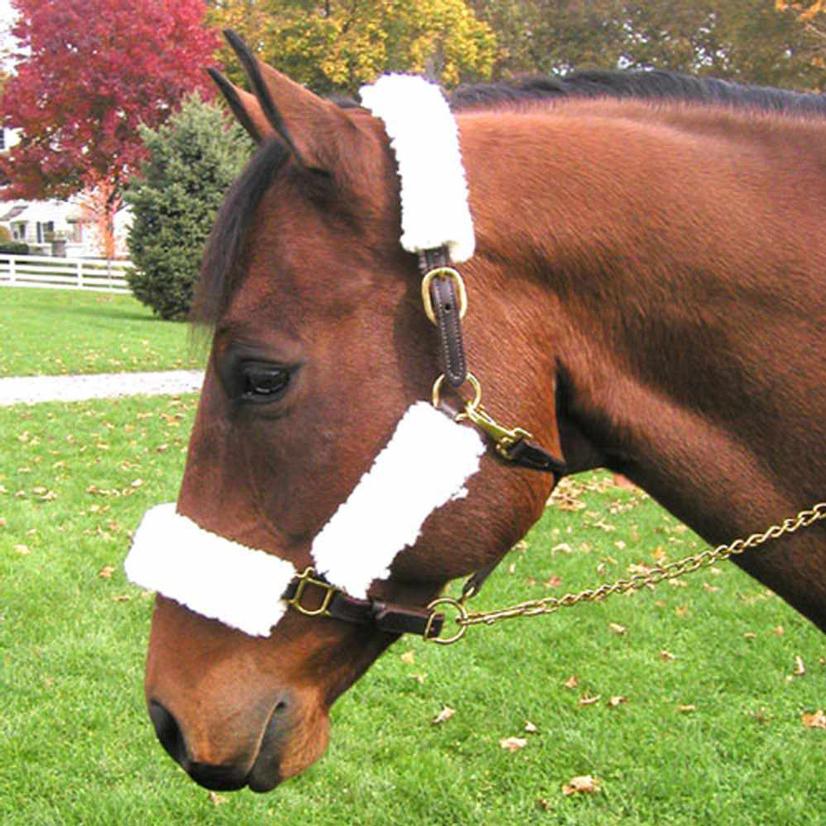 Intrepid Int. Tack Intrepid International Fleece Halter Set