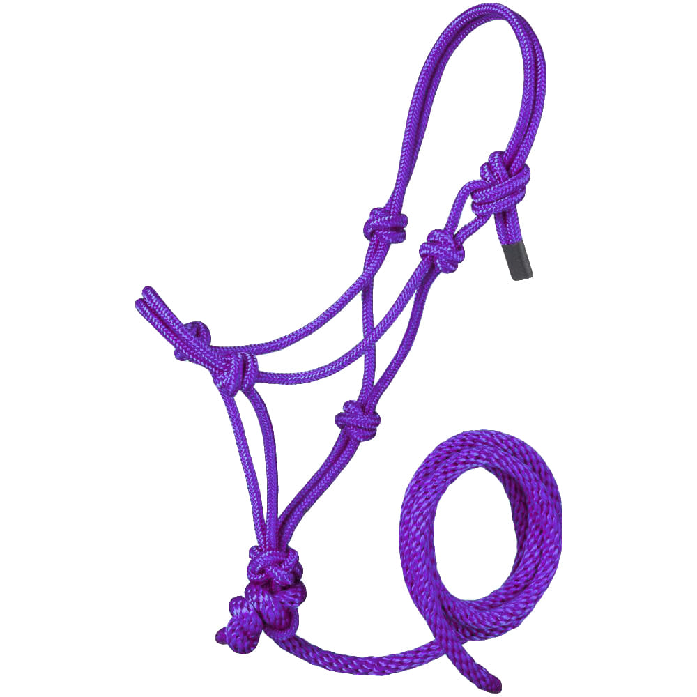 JTI Tack Purple / SM Miniature Poly Rope Halter with Lead