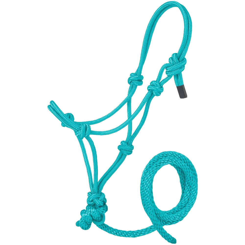 JTI Tack Turquoise / SM Miniature Poly Rope Halter with Lead