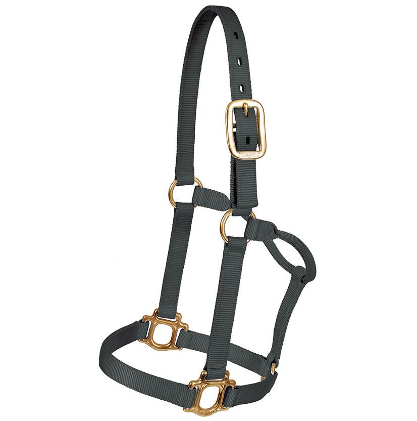 Mustang Tack Standard / Black Mustang 1" Triple Ply Nylon Halter for Regular 800lbs - 1100lbs