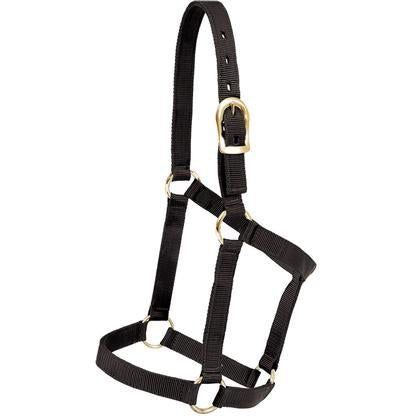 Mustang tack Standard / Black Mustang Economy Halter