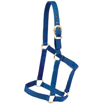 Mustang tack Standard / Blue Mustang Economy Halter