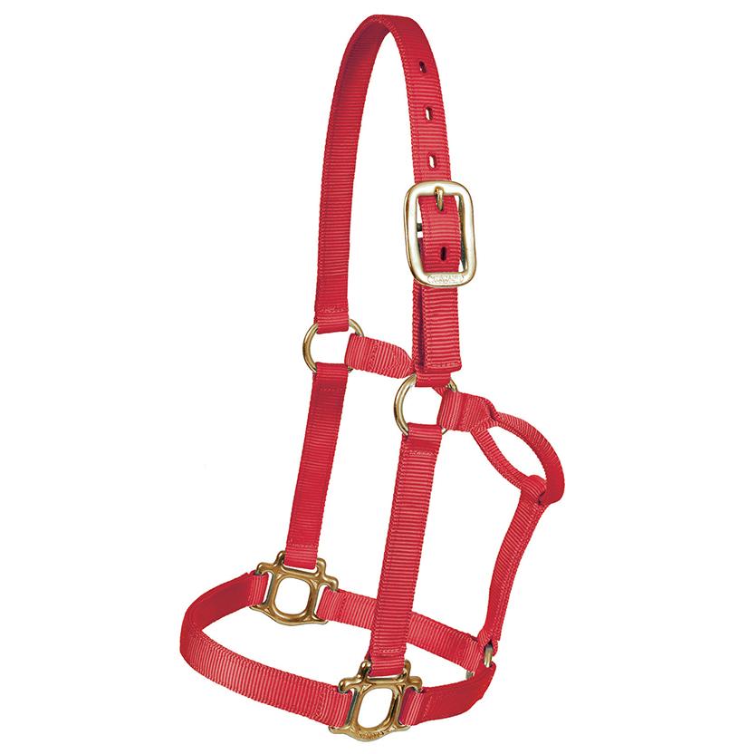 Mustang Tack Standard / Red Mustang 1" Triple Ply Nylon Halter for Regular 800lbs - 1100lbs