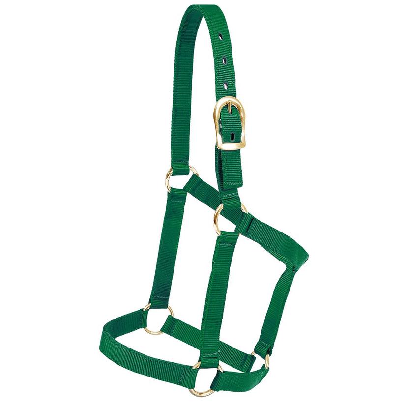Mustang Tack Yearling / Hunter Green Mustang Economy Halter