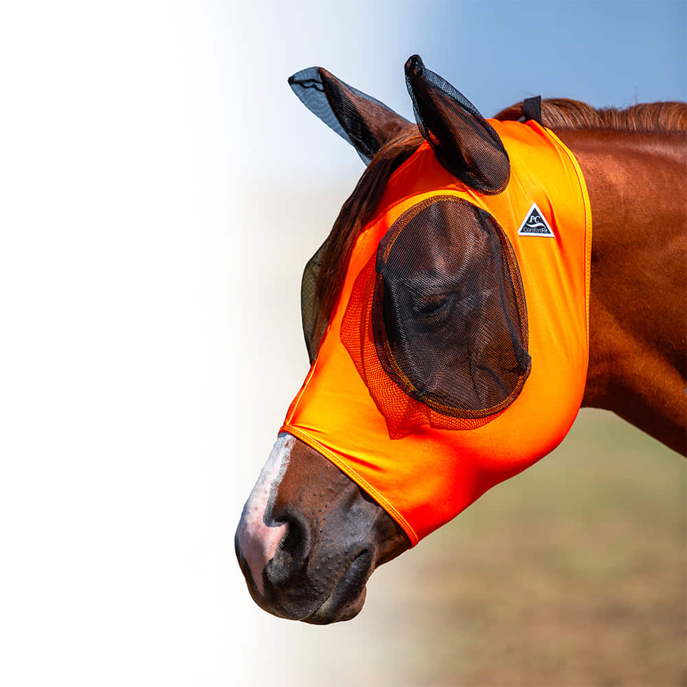 Professional's Choice Supplies Professional's Choice Orange Comfort Fit Fly Mask
