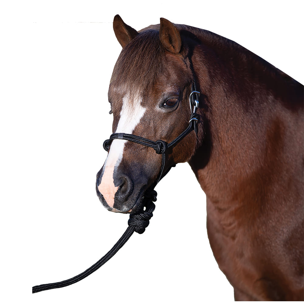 Professional's Choice Tack Black / Mini Professional's Choice Pony Mini Rope Halter