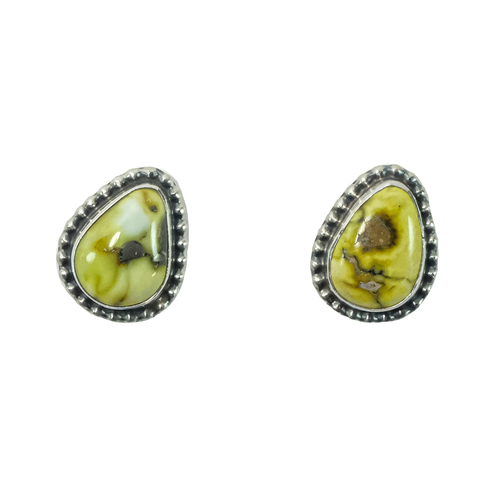 South Texas Tack Apparel Jewelry Palomino Turquoise Palomino Turquoise Stud Earrings