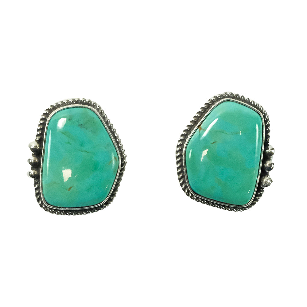 South Texas Tack Apparel Jewelry Turquoise D Turquoise Stud And Sterling Silver Rope Border Earrings