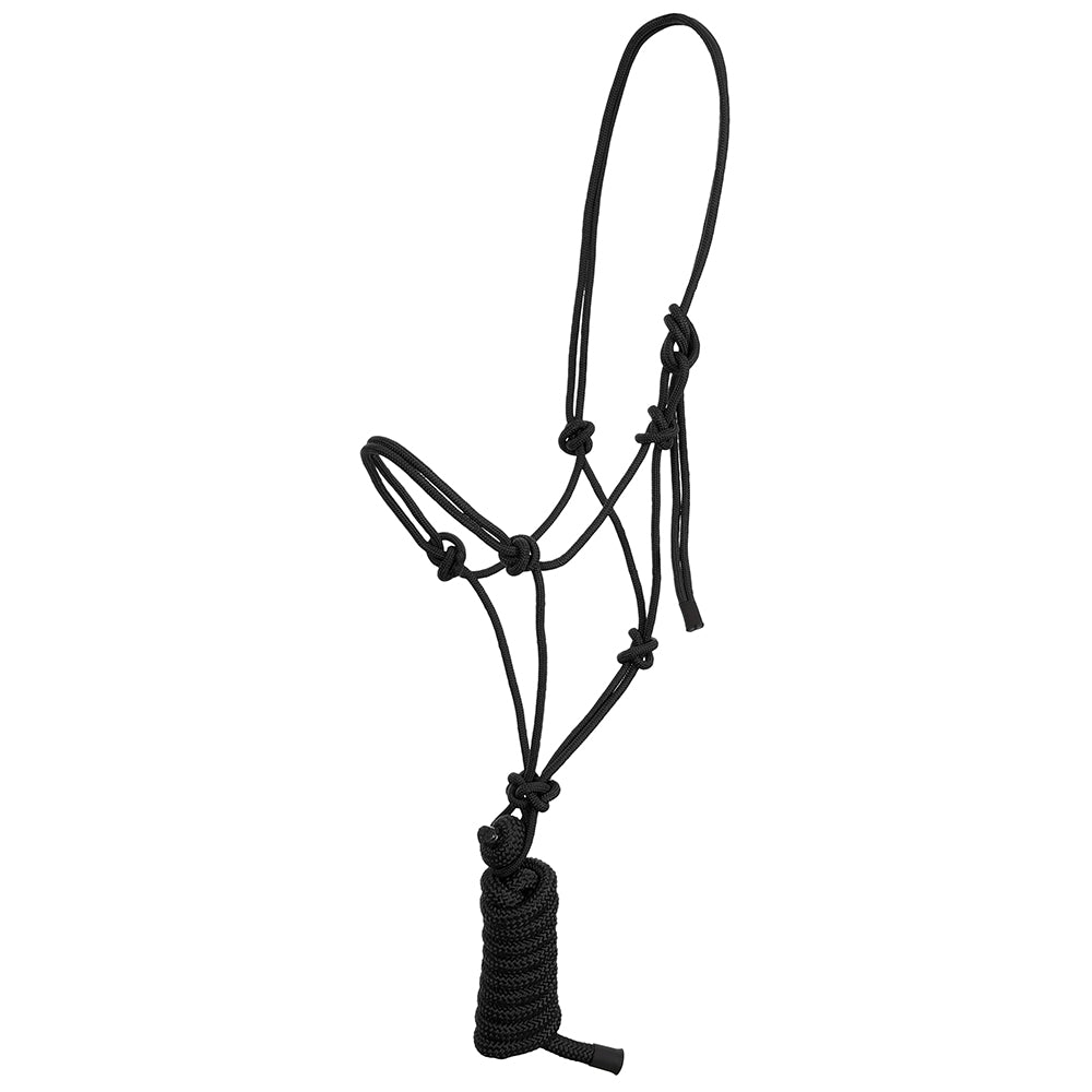 South Texas Tack Tack Black / STANDARD Rope Halter w/ Lead Solid