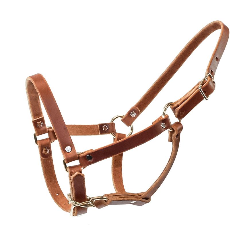South Texas Tack Tack Foal / Natural South Texas Tack Riveted Leather Foal Halter