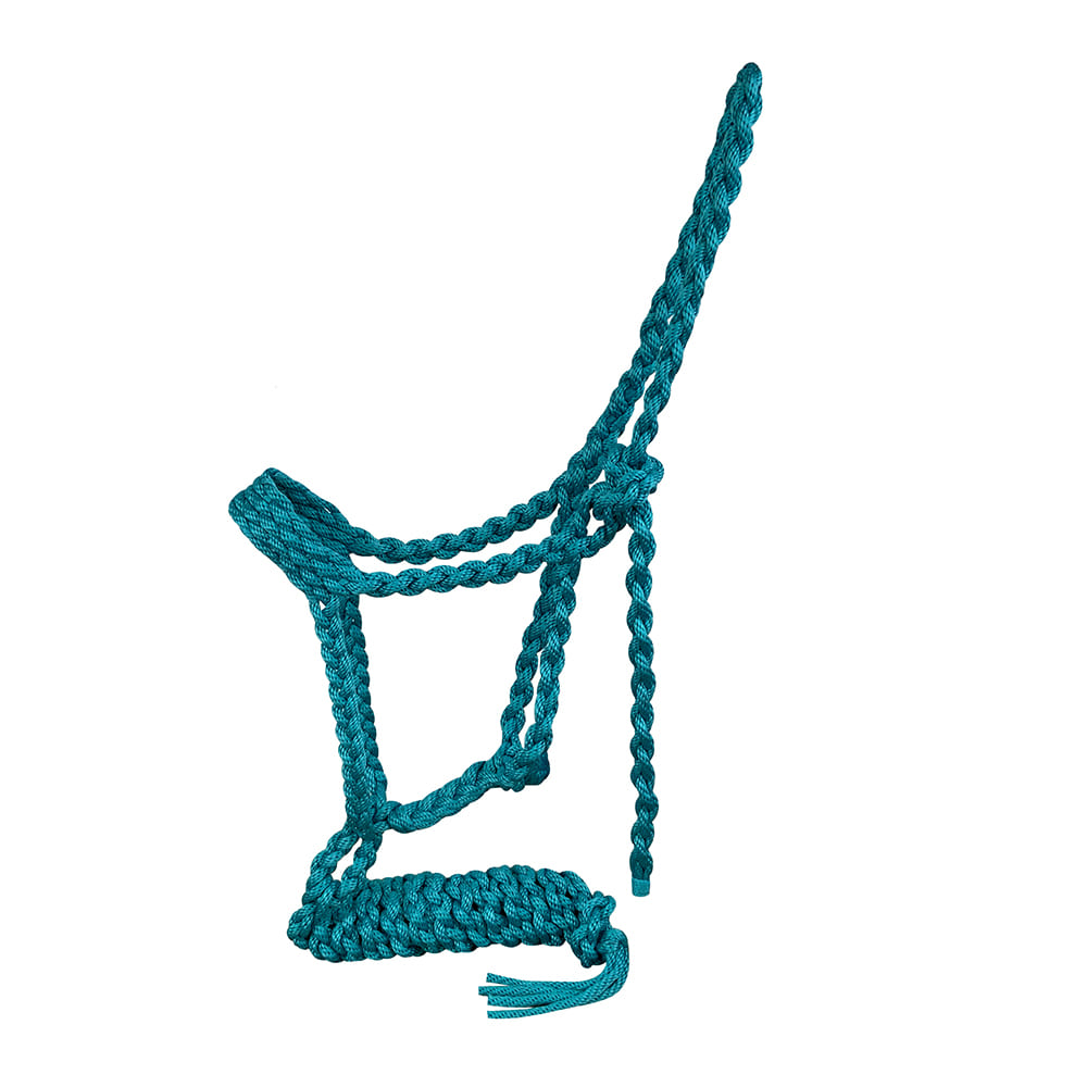 South Texas Tack Tack Mule Tape Halter 8ft Lead
