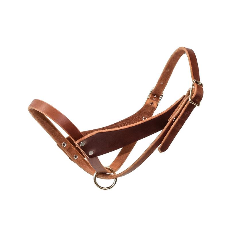 South Texas Tack Tack Natural South Texas Tack 5/8" Figure Eight Halter
