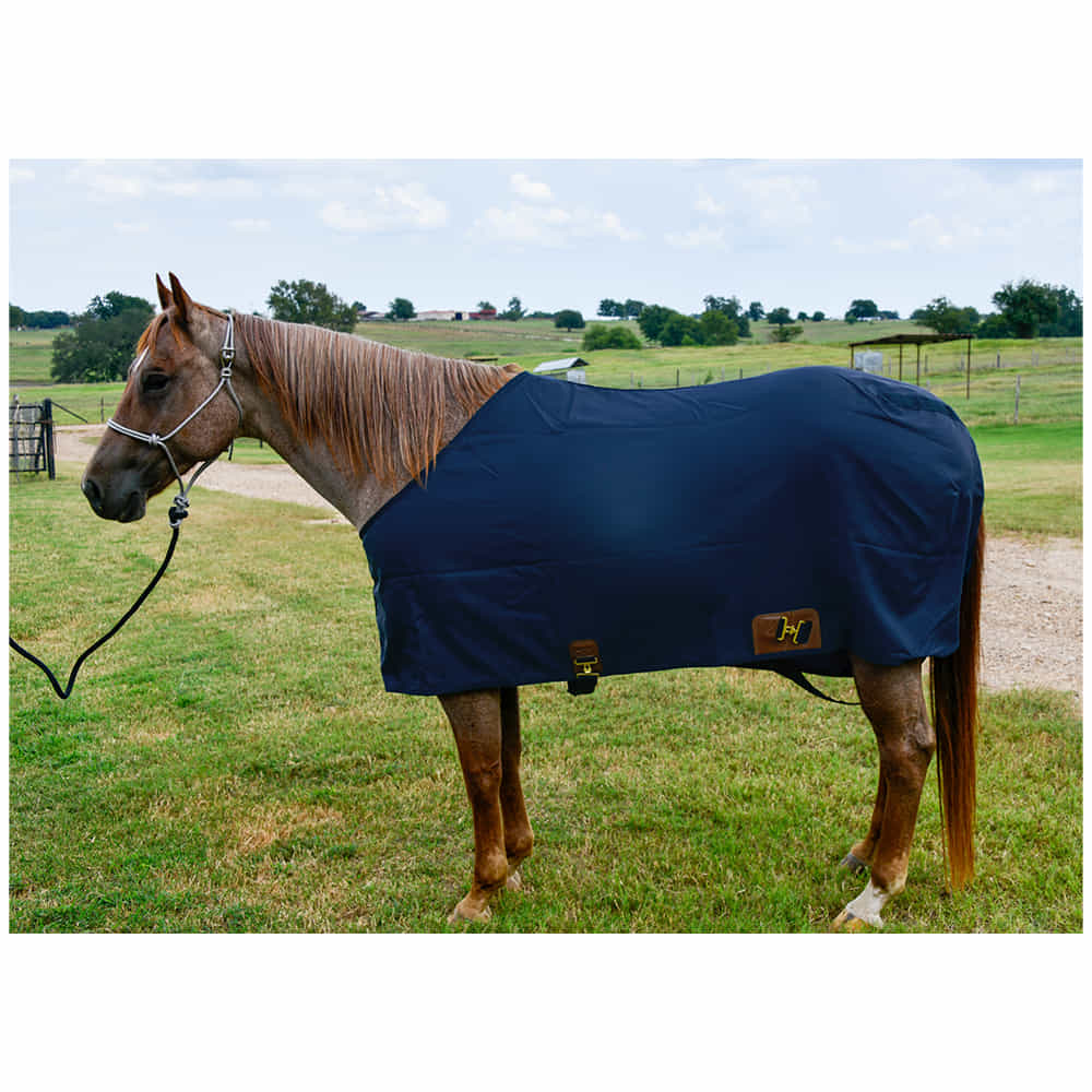 South Texas Tack Tack South Texas Tack Horse Sheet