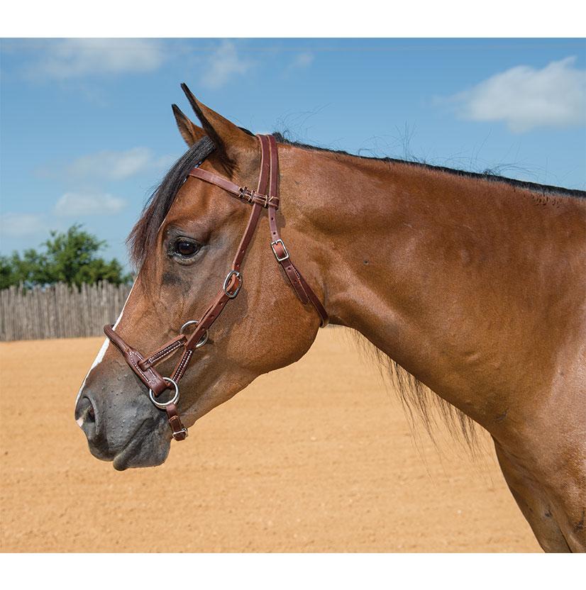 South Texas Tack Tack South Texas Tack Round Leather Nose Sidepull 5/8"