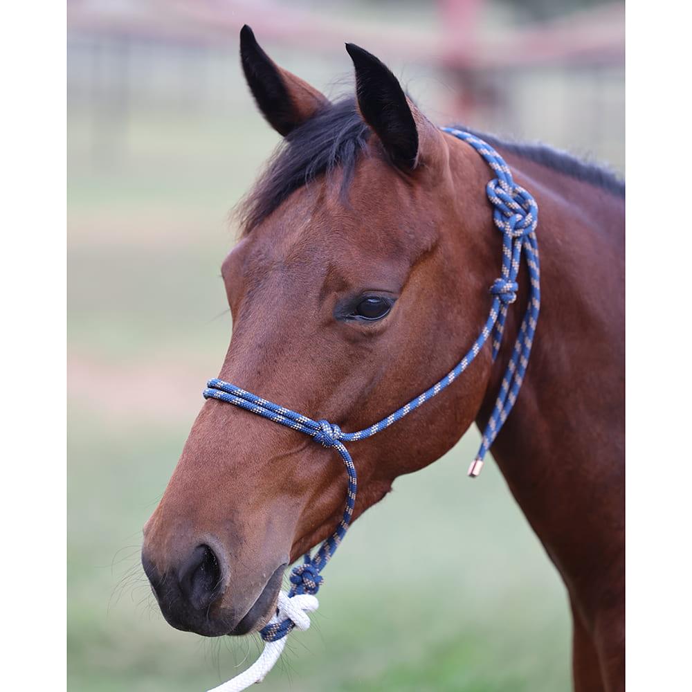 Steele Halters Tack Steele Halters 12 Foot Lead and Halter