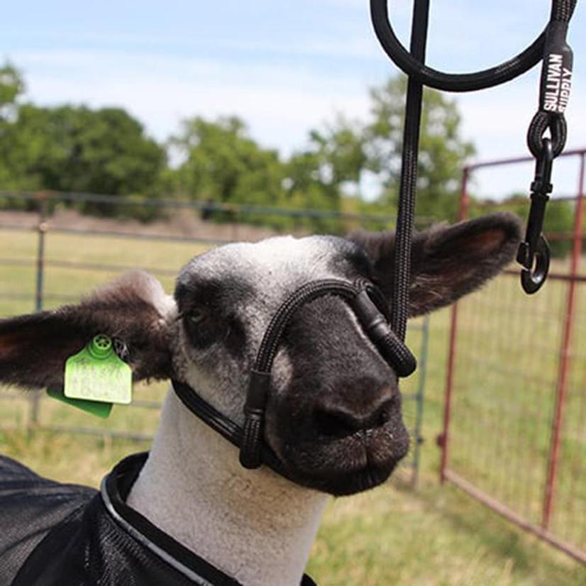 Sullivan's Supply Supplies OSFA / BLACK Sullivan Supply Sheep And Goat Halter With Snap Lead