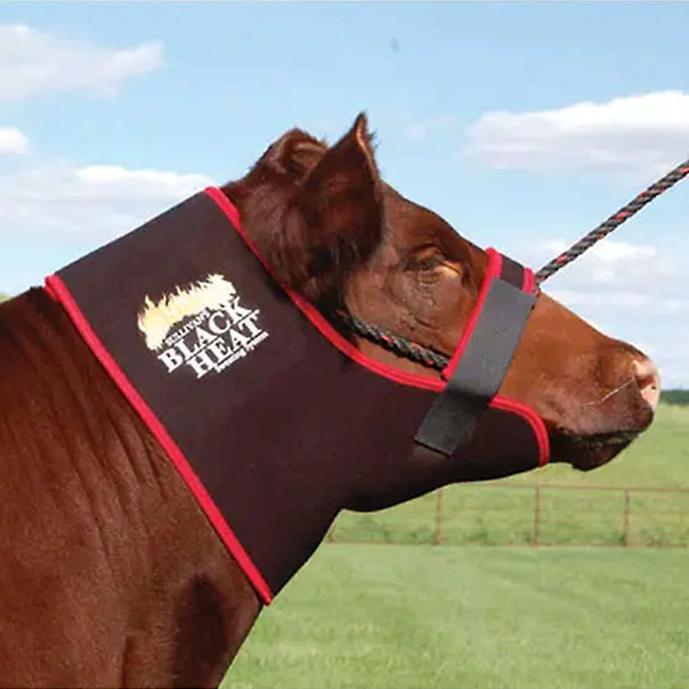 Sullivan's Supply Tack Sullivan Supply Black Heat Neck Sweat