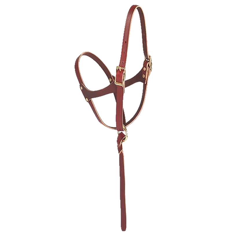 Weaver Leather Leather Figure Eight Foal Halter