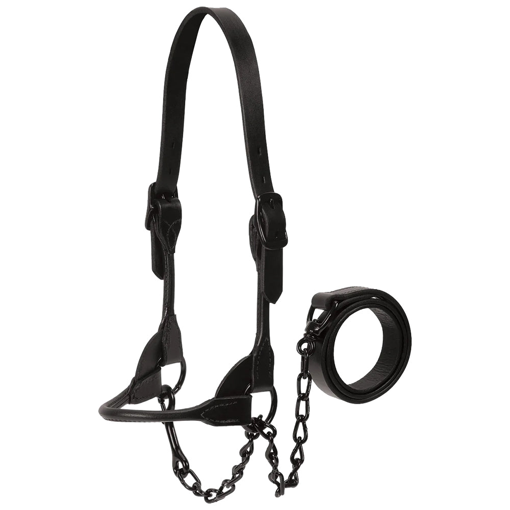 Weaver Livestock Tack Weaver Livestock Medium Black Magic Show Halter