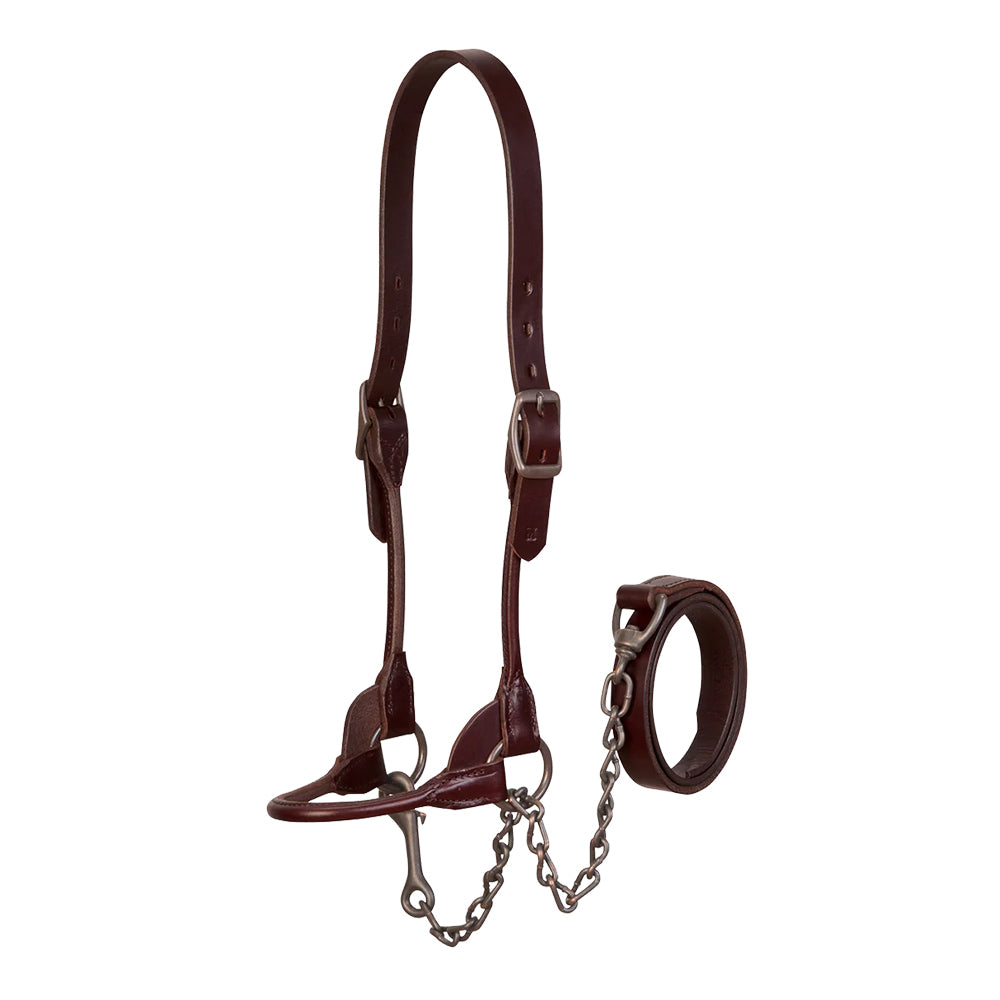 Weaver Livestock Tack Weaver Livestock Small Brown Bombshell Show Halter