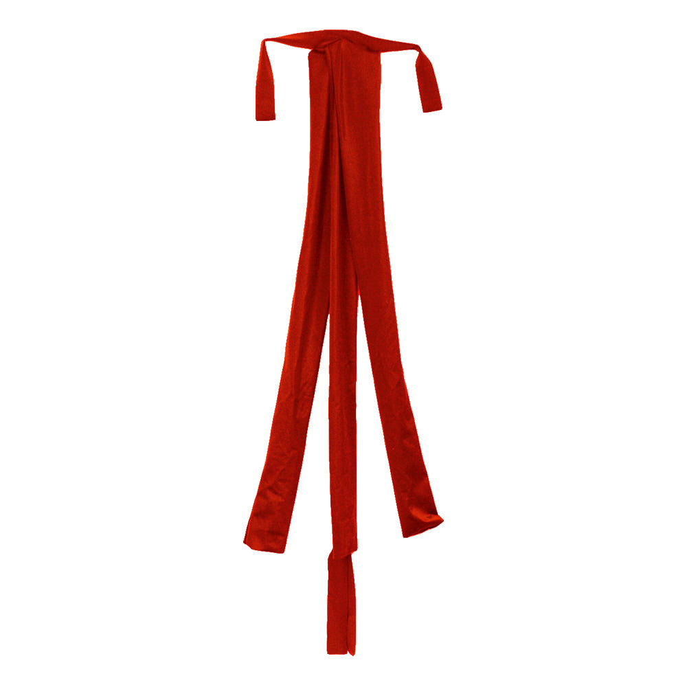 Windhorse, Inc Tack Red Sleazy Sleepwear 3 Tube Tail Bag - Neon Splash