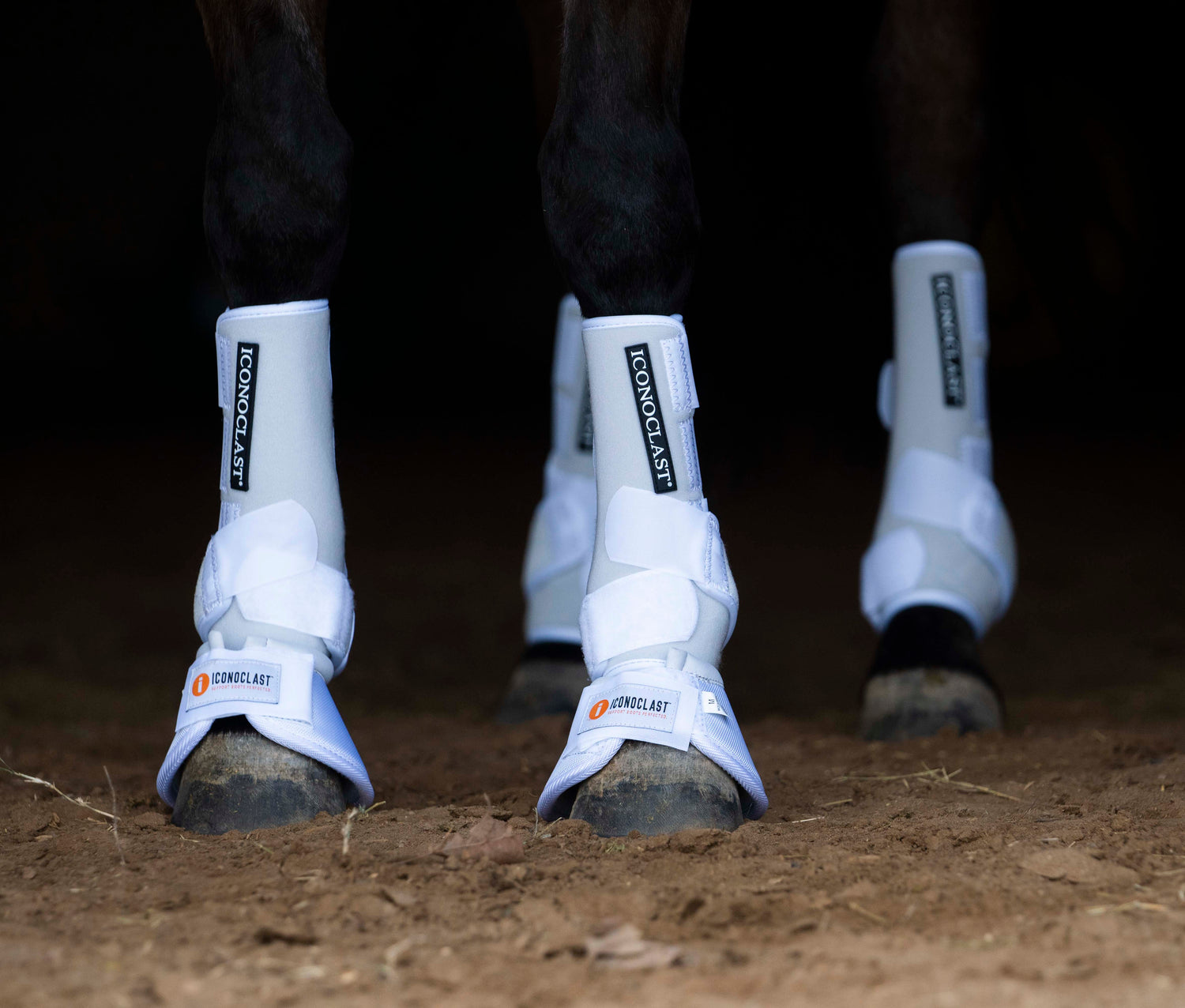 White iconoclast boots on horse