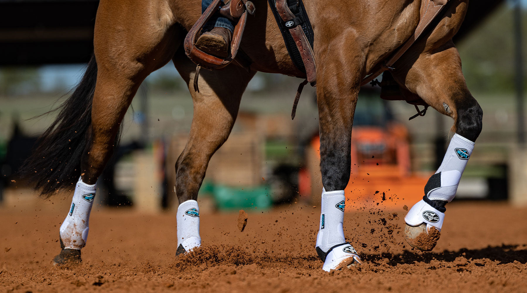 Professional's Choice XC4 Sport Boots on horse in arena