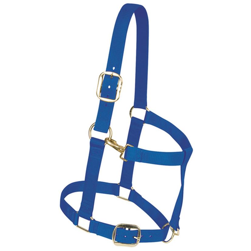 Weaver Leather Nylon Draft Horse Halter