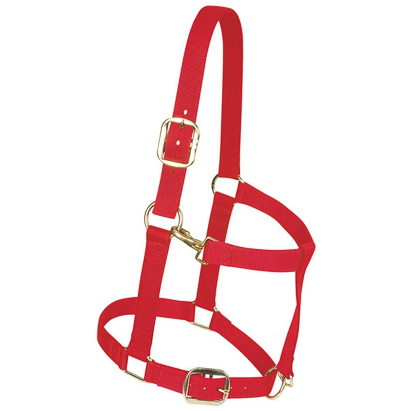 Weaver Leather Nylon Draft Horse Halter