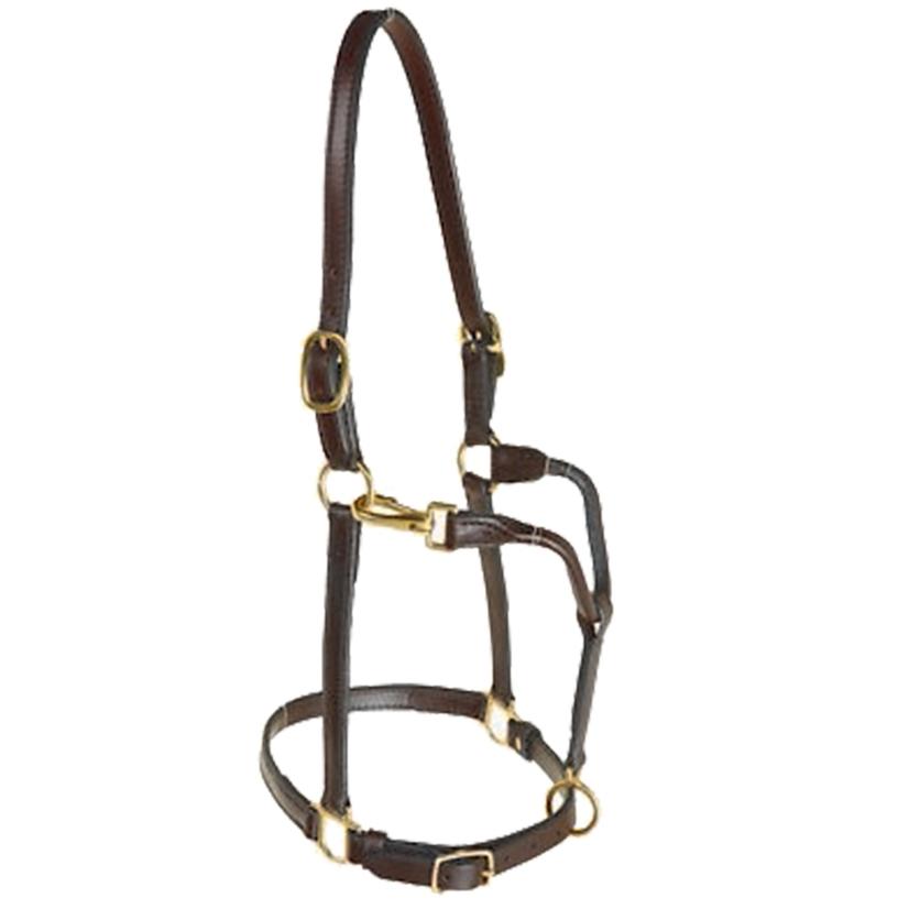 STT Yearling Track Halter 3/4in