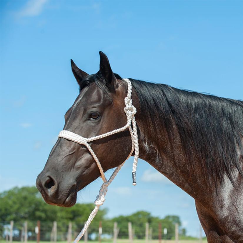 Cashel Flat Braid Halter With 8" Lead Rope