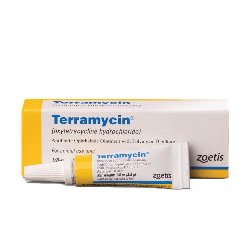 Zoetis Terramycin Antiobiotic Ophthalmic Ointment with Polymyxin B Sulfate