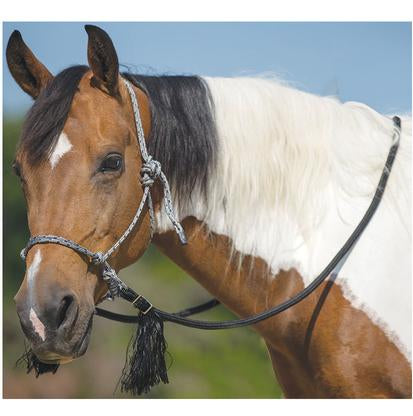 Mustang Deluxe Bitless Bridle