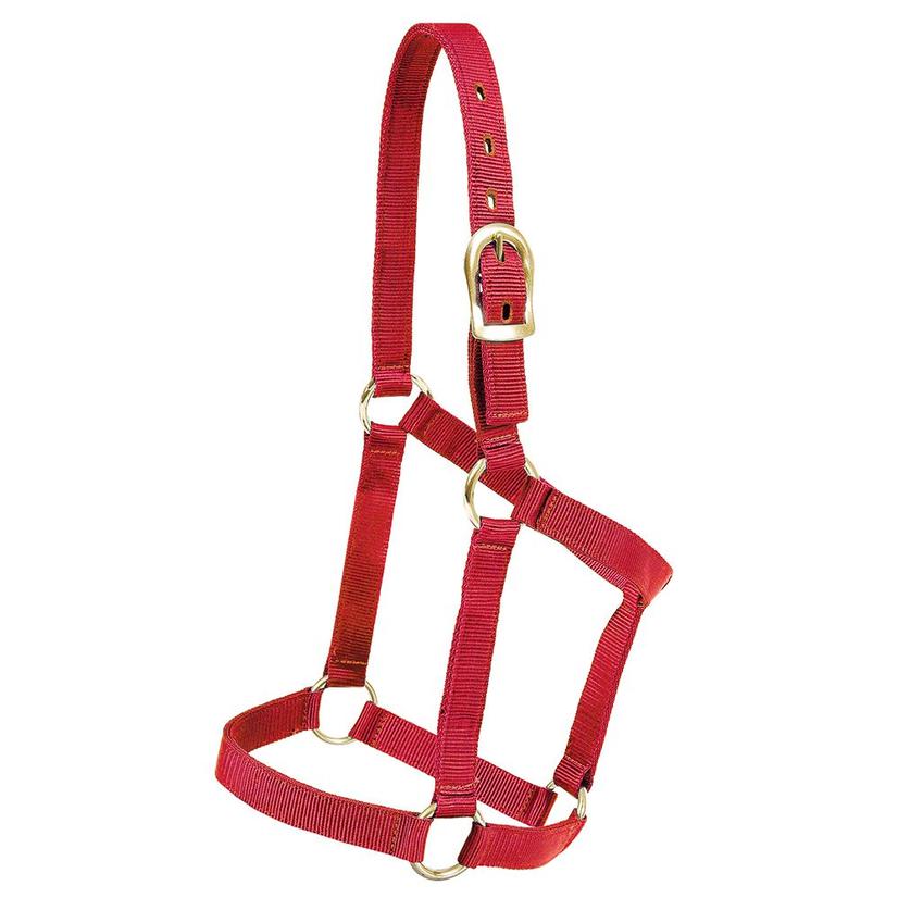 Mustang Economy Halter