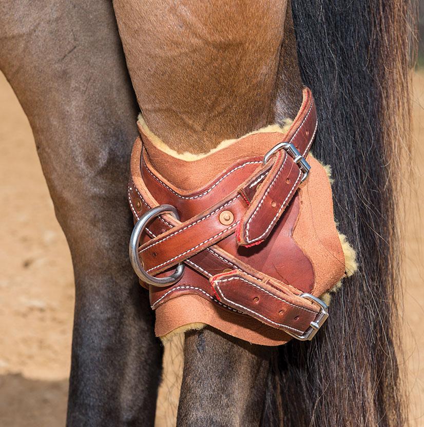 STT Leather Hock Hobbles with Sheepskin Lining