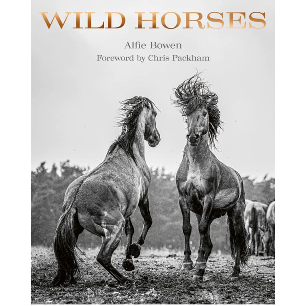 Acc Publishing Other Acc Publishing Wild Horses